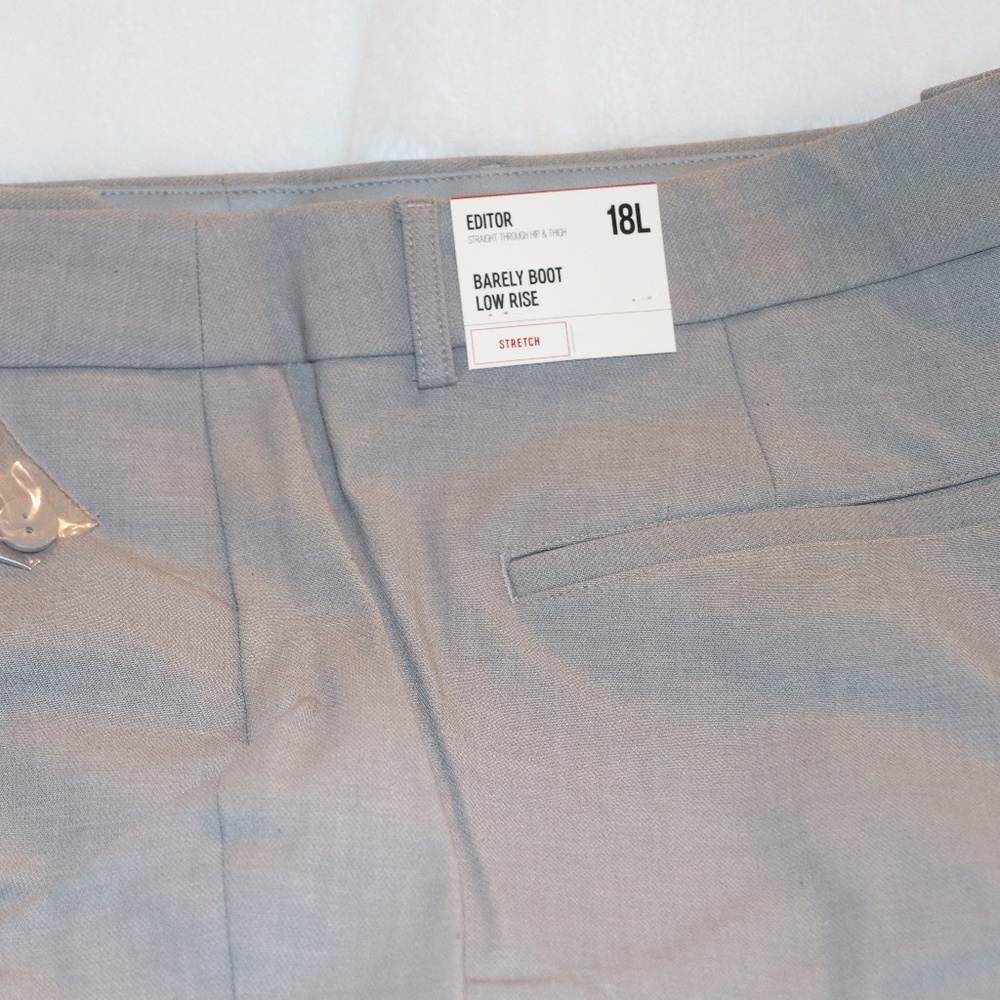 NWT Express Editor Pant